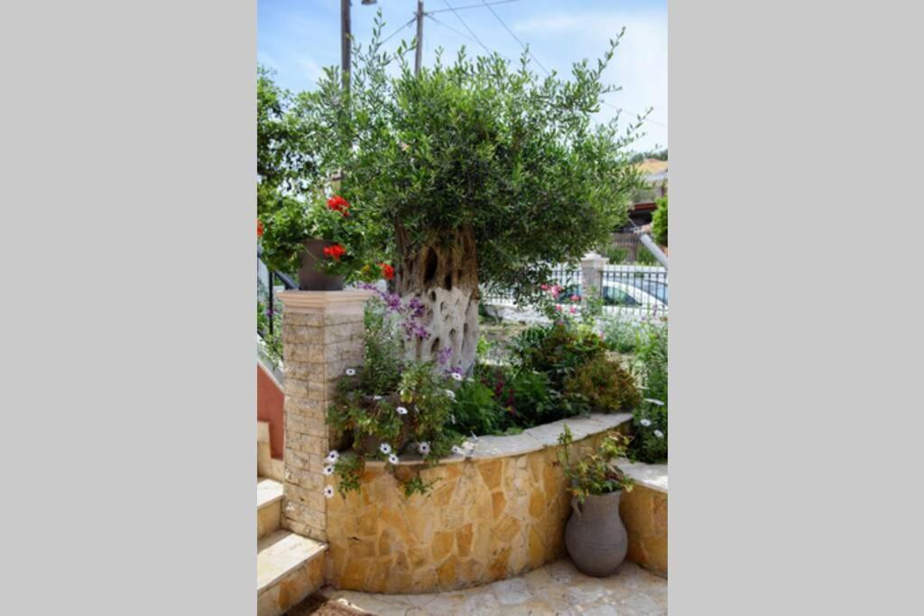 Seaview Cottage - Calmare Petrití Εξωτερικό φωτογραφία